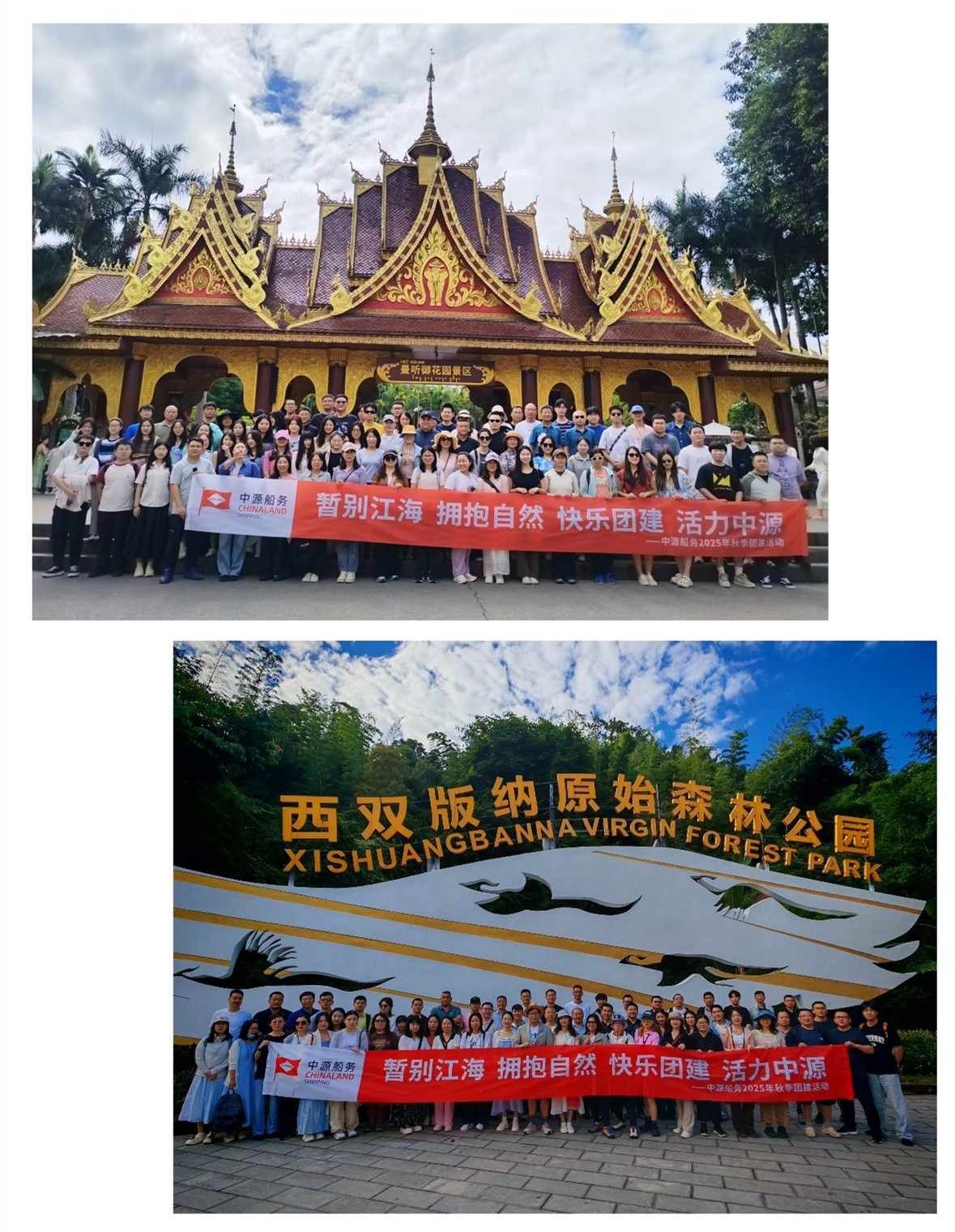 1769063729579161.jpg 1769063729579161.jpg